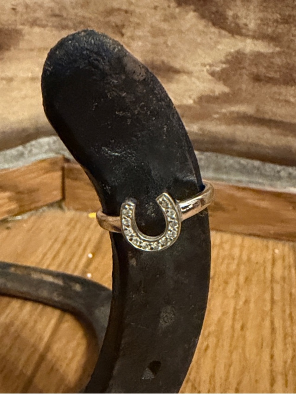 Montana silversmith Horseshoe Ring with Crystal Accents